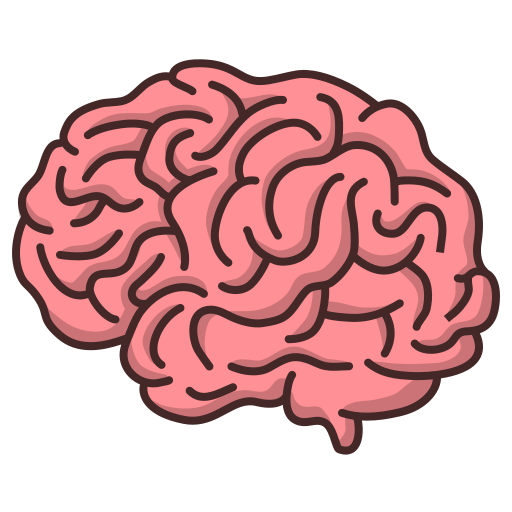 brain
